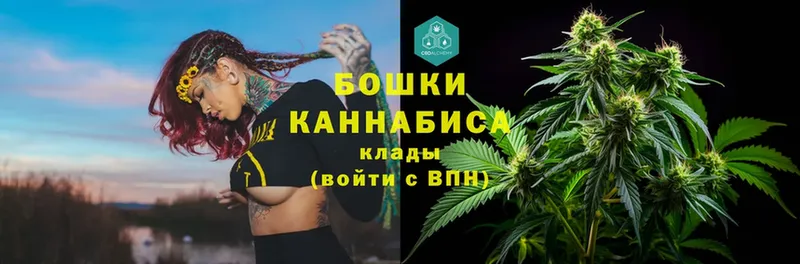 Бошки Шишки OG Kush  Нововоронеж 